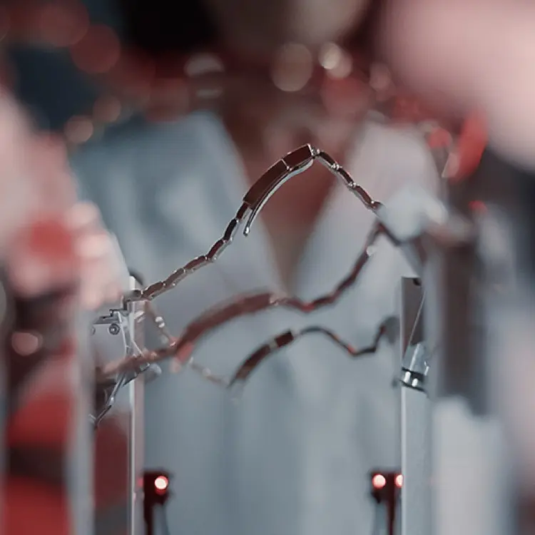INNOVAZIONE CONTINUA - Bisio Orologi e Gioielli
