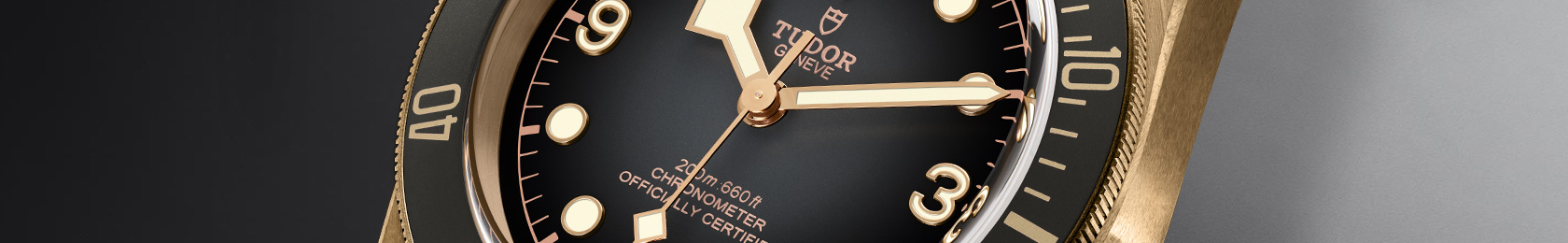 Collezione Tudor Black Bay Bronze ad Asti