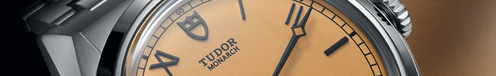 Collezione Tudor TUDOR Monarch ad Asti