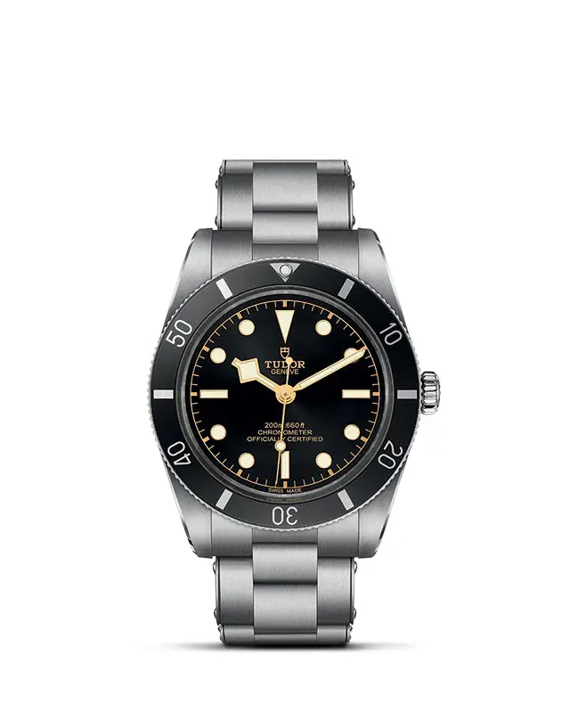 TUDOR Black Bay 54 presso Bisio Orologi e Gioielli