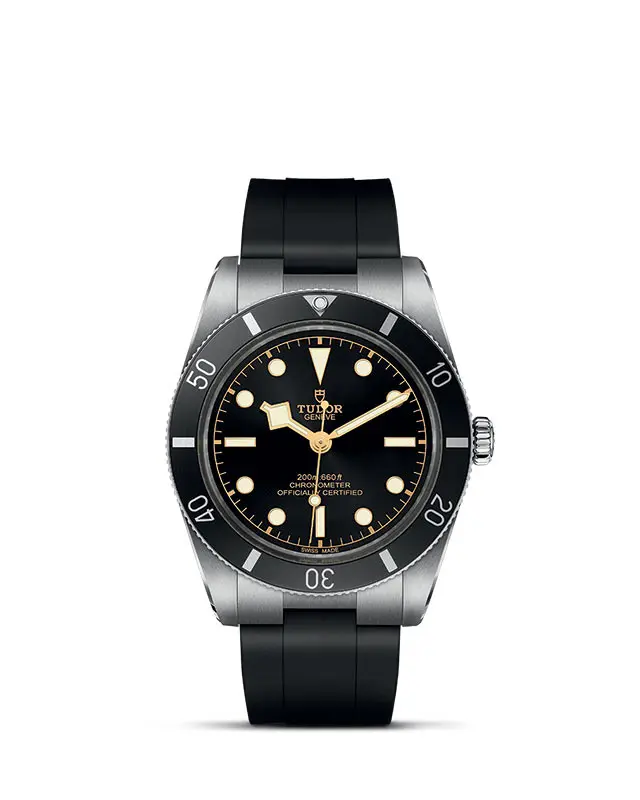 TUDOR Black Bay 54 presso Bisio Orologi e Gioielli